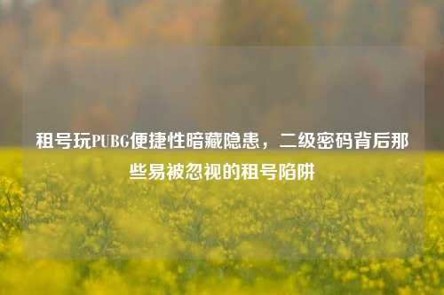 租号玩PUBG便捷性暗藏隐患,二级密码背后那些易被忽视的租号陷阱