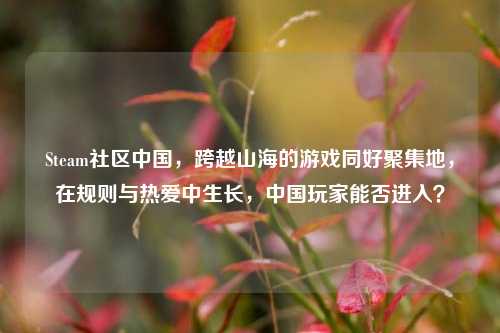 Steam社区中国,跨越山海的游戏同好聚集地,在规则与热爱中生长,中国玩家能否进入?