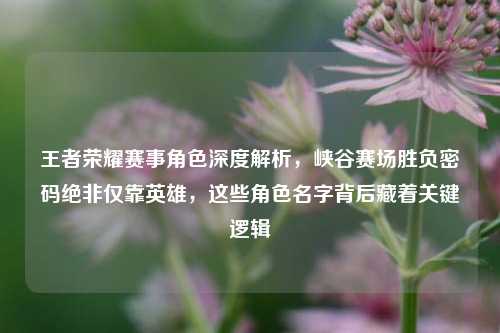 王者荣耀赛事角色深度解析,峡谷赛场胜负密码绝非仅靠英雄,这些角色名字背后藏着关键逻辑