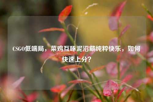 CSGO低端局,菜鸡互啄泥沼藏纯粹快乐,如何快速上分?