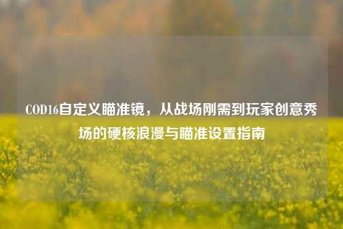 COD16自定义瞄准镜,从战场刚需到玩家创意秀场的硬核浪漫与瞄准设置指南
