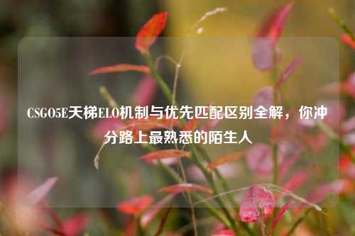 CSGO5E天梯ELO机制与优先匹配区别全解,你冲分路上最熟悉的陌生人