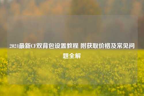2024最新CF双背包设置教程 附获取价格及常见问题全解