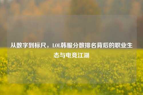 从数字到标尺,LOL韩服分数排名背后的职业生态与电竞江湖