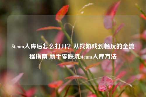 Steam入库后怎么打开?从找游戏到畅玩的全流程指南 新手零踩坑steam入库方法