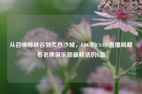 从召唤师峡谷到炙热沙城,EDG的CS:GO直播局藏着老牌俱乐部最鲜活的B面