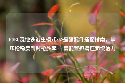 PUBG及地铁逃生模式SKS最强配件搭配指南，从压枪稳度到对枪胜率 一套配置拉满连狙统治力