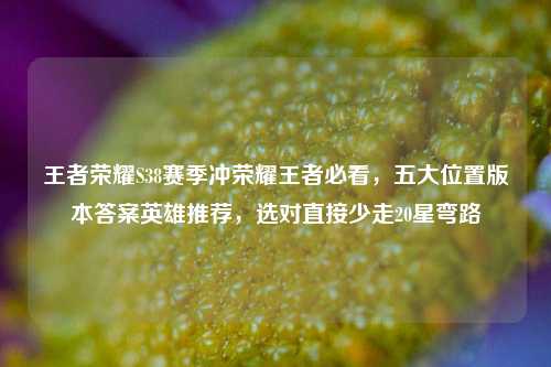 王者荣耀S38赛季冲荣耀王者必看，五大位置版本答案英雄推荐，选对直接少走20星弯路