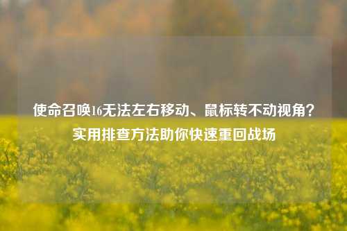 使命召唤16无法左右移动、鼠标转不动视角?实用排查方法助你快速重回战场