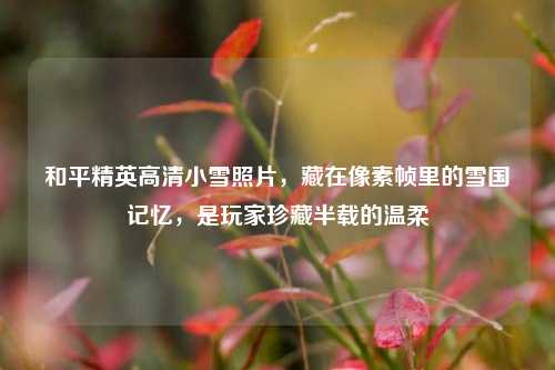和平精英高清小雪照片,藏在像素帧里的雪国记忆,是玩家珍藏半载的温柔