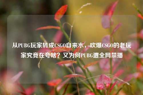 从PUBG玩家转成CSGO自来水，吹爆CSGO的老玩家究竟在夸啥？又为何PUBG遭全网禁播
