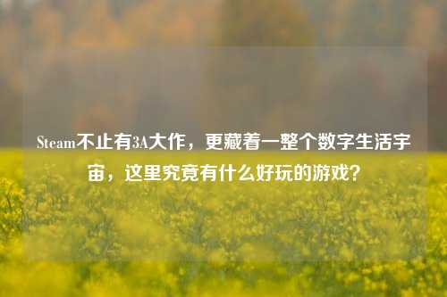Steam不止有3A大作，更藏着一整个数字生活宇宙，这里究竟有什么好玩的游戏？