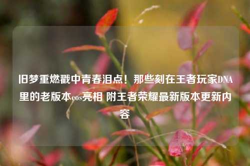 旧梦重燃戳中青春泪点！那些刻在王者玩家DNA里的老版本cos亮相 附王者荣耀最新版本更新内容