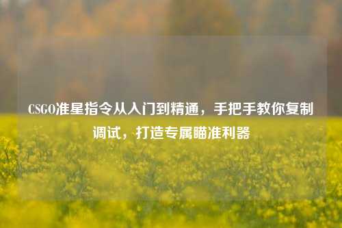 CSGO准星指令从入门到精通,手把手教你复制调试,打造专属瞄准利器