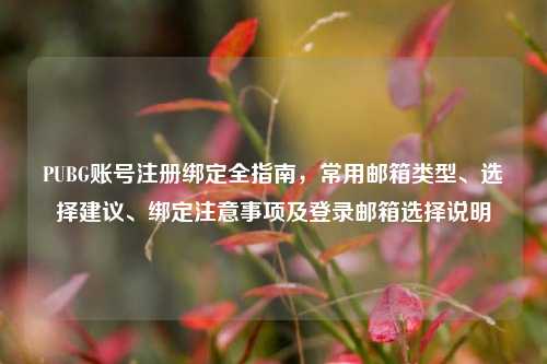 PUBG账号注册绑定全指南,常用邮箱类型、选择建议、绑定注意事项及登录邮箱选择说明
