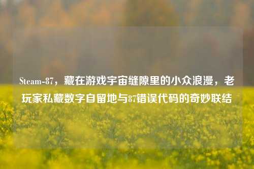 Steam-87,藏在游戏宇宙缝隙里的小众浪漫,老玩家私藏数字自留地与87错误代码的奇妙联结