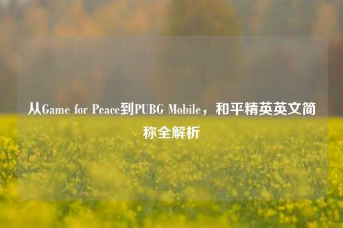 从Game for Peace到PUBG Mobile，和平精英英文简称全解析