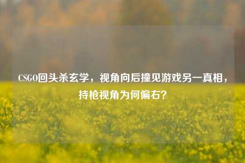 CSGO回头杀玄学,视角向后撞见游戏另一真相,持枪视角为何偏右?
