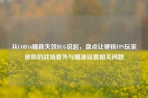 从COD16瞄具失效BUG说起，盘点让硬核FPS玩家破防的战场意外与瞄准设置相关问题