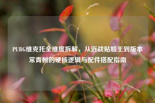 PUBG维克托全维度拆解,从近战贴脸王到版本常青树的硬核逻辑与配件搭配指南