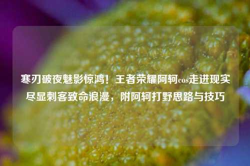 寒刃破夜魅影惊鸿!王者荣耀阿轲cos走进现实尽显刺客致命浪漫,附阿轲打野思路与技巧
