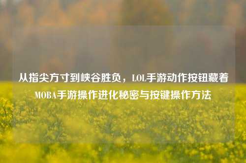 从指尖方寸到峡谷胜负,LOL手游动作按钮藏着MOBA手游操作进化秘密与按键操作方法