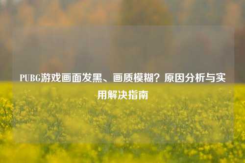 PUBG游戏画面发黑、画质模糊?原因分析与实用解决指南
