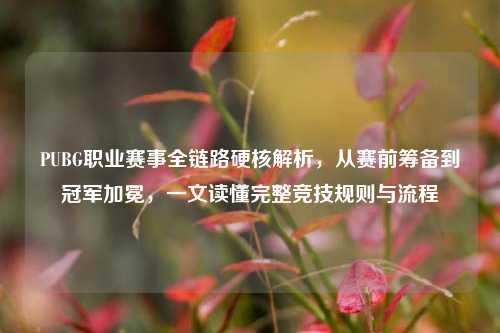 PUBG职业赛事全链路硬核解析,从赛前筹备到冠军加冕,一文读懂完整竞技规则与流程