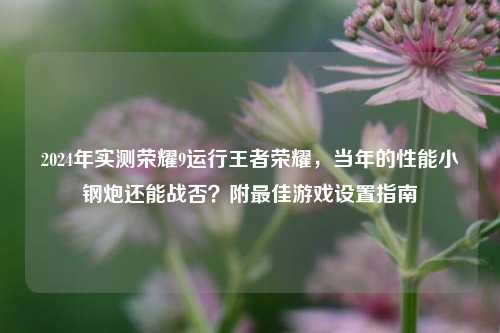 2024年实测荣耀9运行王者荣耀,当年的性能小钢炮还能战否?附最佳游戏设置指南