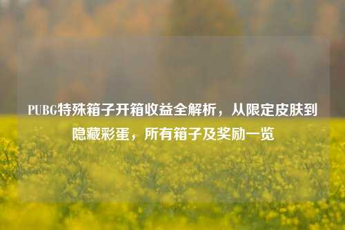 PUBG特殊箱子开箱收益全解析,从限定皮肤到隐藏彩蛋,所有箱子及奖励一览