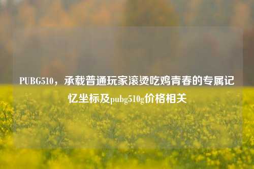 PUBG510,承载普通玩家滚烫吃鸡青春的专属记忆坐标及pubg510g价格相关