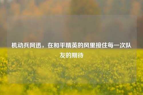 机动兵阿迅，在和平精英的风里接住每一次队友的期待