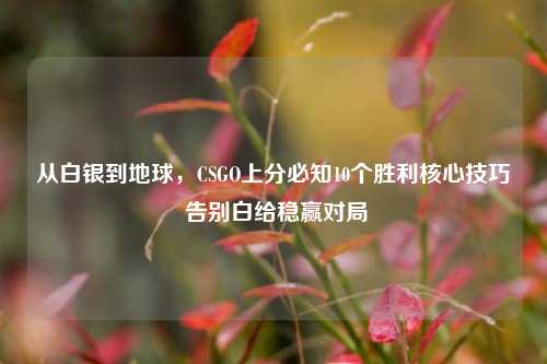 从白银到地球,CSGO上分必知10个胜利核心技巧 告别白给稳赢对局