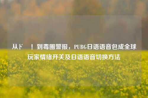 从ド勝!到毒圈警报,PUBG日语语音包成全球玩家情绪开关及日语语音切换方法