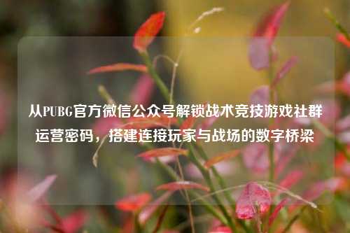 从PUBG官方微信公众号解锁战术竞技游戏社群运营密码,搭建连接玩家与战场的数字桥梁