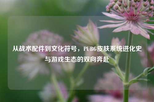 从战术配件到文化符号，PUBG皮肤系统进化史与游戏生态的双向奔赴