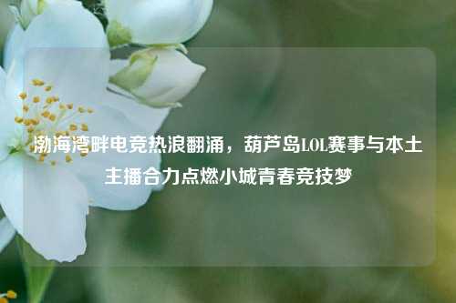渤海湾畔电竞热浪翻涌,葫芦岛LOL赛事与本土主播合力点燃小城青春竞技梦