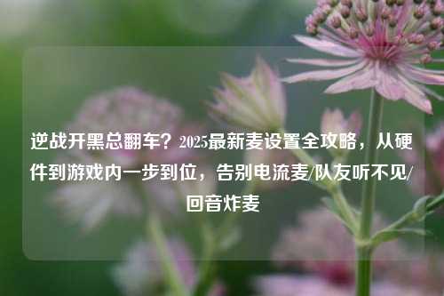 逆战开黑总翻车?2025最新麦设置全攻略,从硬件到游戏内一步到位,告别电流麦/队友听不见/回音炸麦