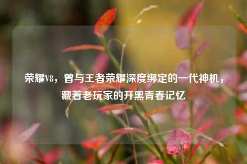 荣耀V8，曾与王者荣耀深度绑定的一代神机，藏着老玩家的开黑青春记忆