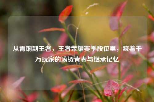 从青铜到王者,王者荣耀赛季段位里,藏着千万玩家的滚烫青春与继承记忆