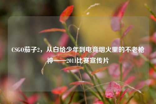 CSGO茄子2,从白给少年到电竞烟火里的不老枪神——2011比赛宣传片
