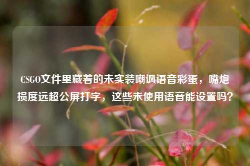 CSGO文件里藏着的未实装嘲讽语音彩蛋，嘴炮损度远超公屏打字，这些未使用语音能设置吗？