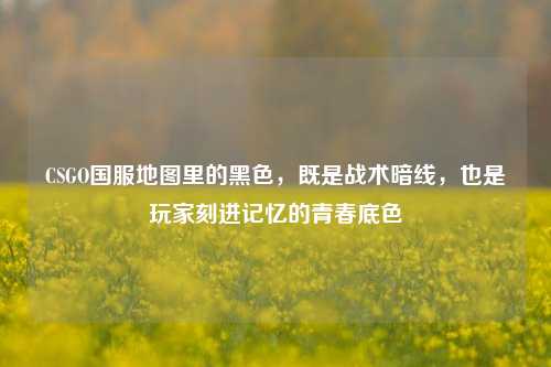 CSGO国服地图里的黑色，既是战术暗线，也是玩家刻进记忆的青春底色