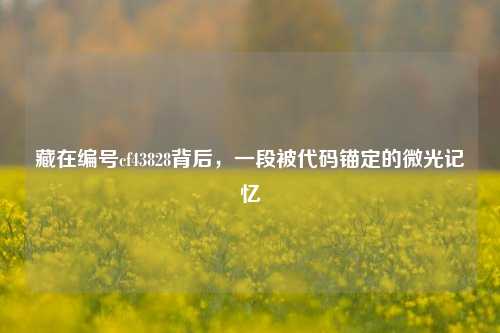 藏在编号cf43828背后，一段被代码锚定的微光记忆