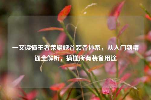 一文读懂王者荣耀峡谷装备体系,从入门到精通全解析,搞懂所有装备用途