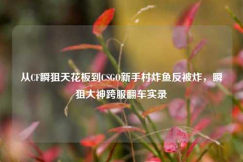 从CF瞬狙天花板到CSGO新手村炸鱼反被炸,瞬狙大神跨服翻车实录