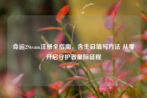命运2Steam注册全指南,含生日填写方法 从零开启守护者星际征程