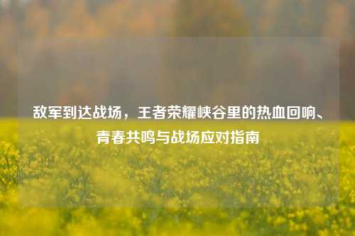 敌军到达战场,王者荣耀峡谷里的热血回响、青春共鸣与战场应对指南