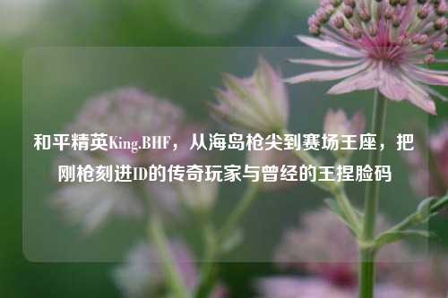 和平精英King.BHF,从海岛枪尖到赛场王座,把刚枪刻进ID的传奇玩家与曾经的王捏脸码