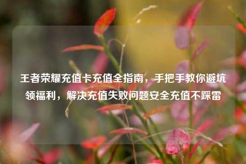 王者荣耀充值卡充值全指南,手把手教你避坑领福利,解决充值失败问题安全充值不踩雷